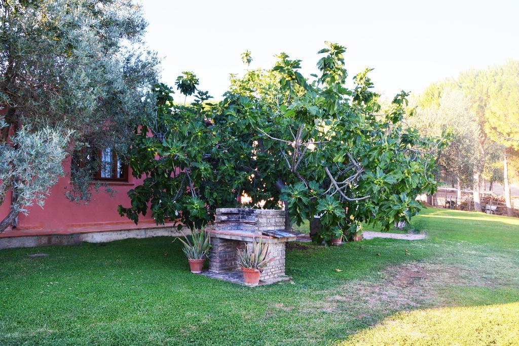 Agriturismo L'Aquilone ماليانو إن توسكانا المظهر الخارجي الصورة