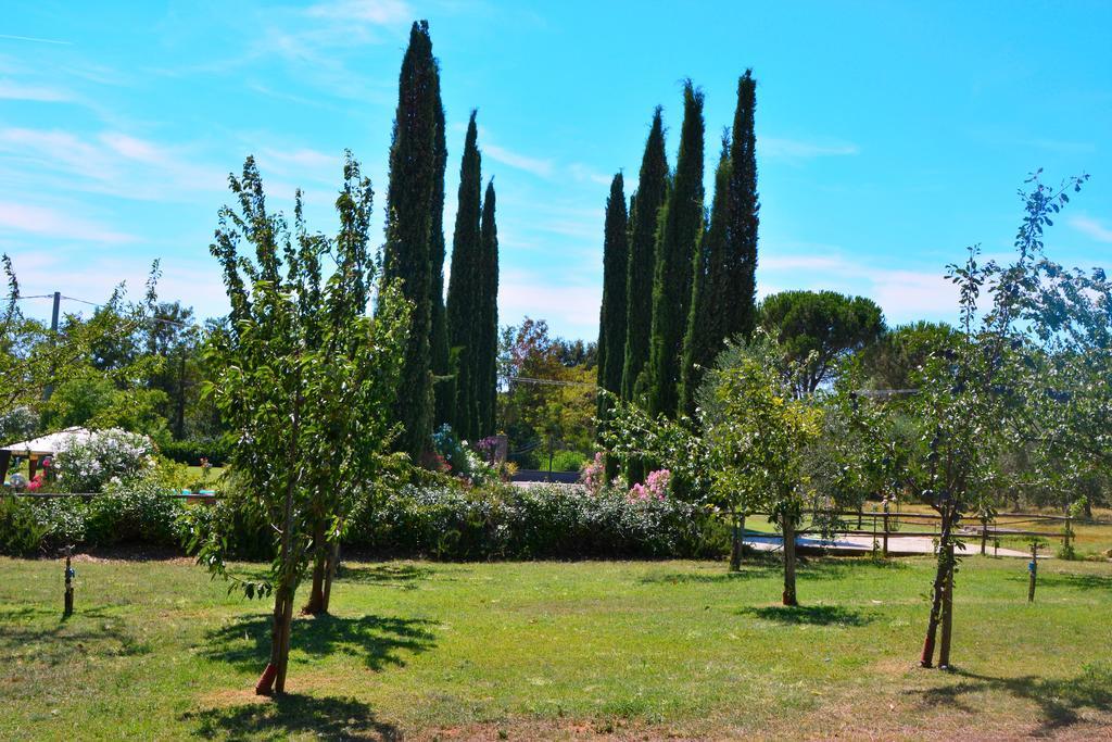 Agriturismo L'Aquilone ماليانو إن توسكانا المظهر الخارجي الصورة