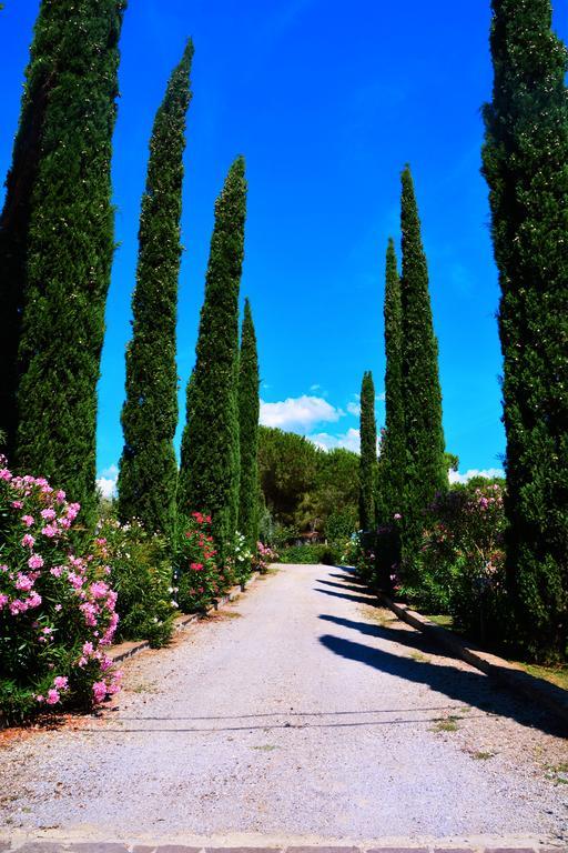 Agriturismo L'Aquilone ماليانو إن توسكانا المظهر الخارجي الصورة