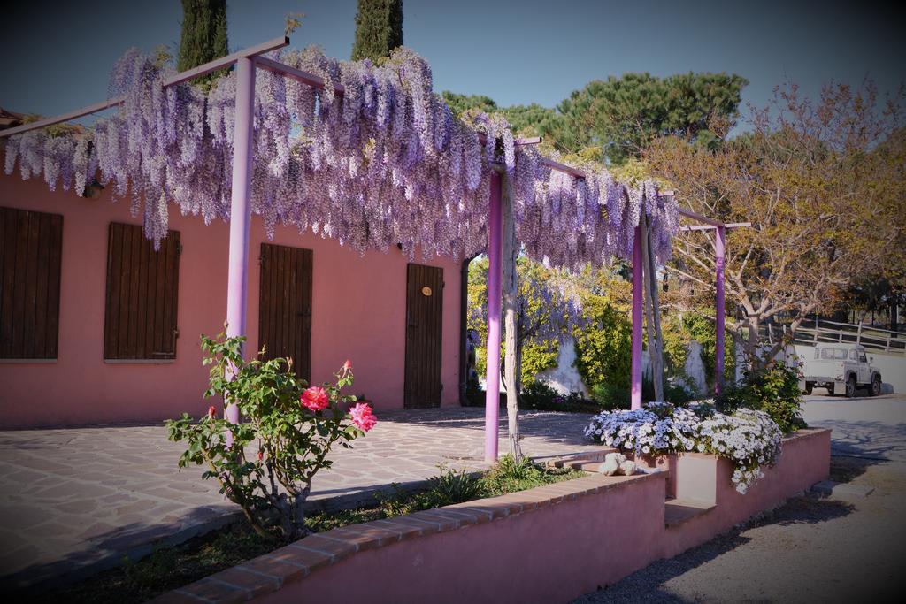 Agriturismo L'Aquilone ماليانو إن توسكانا المظهر الخارجي الصورة